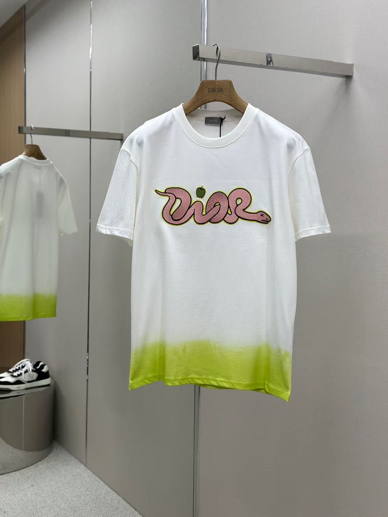 DIOR AND KAWS T-Shirt